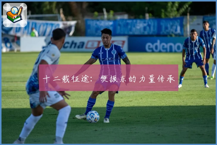 十二载征途：樊振东的力量传承