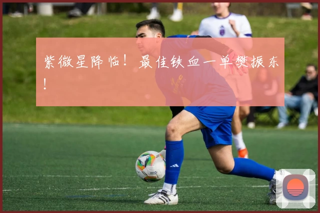 紫微星降临！最佳铁血一单樊振东！