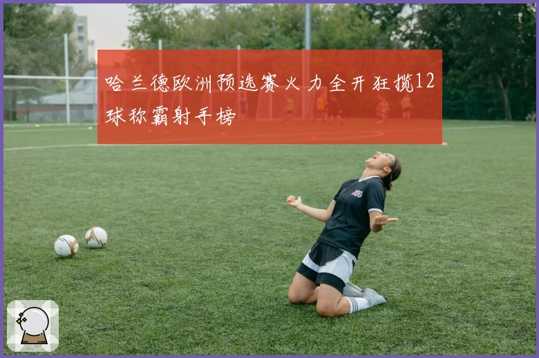 哈兰德欧洲预选赛火力全开狂揽12球称霸射手榜